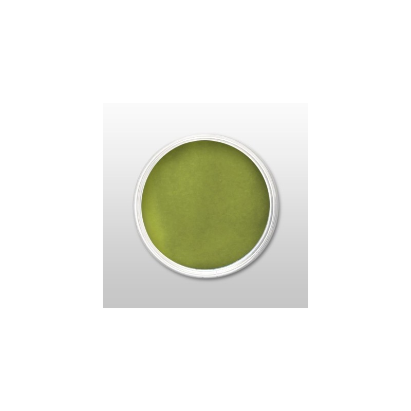 Moyra | praf de portelan color - grass green - nr. 39 - 3,5 gr