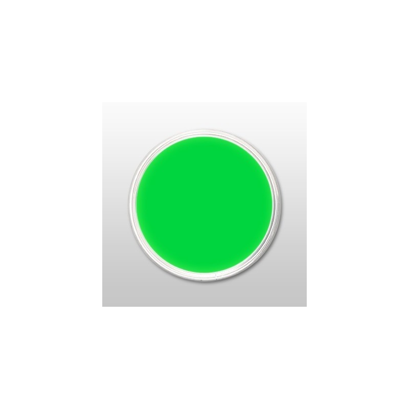 Moyra | praf de portelan color - neon green - nr. 29 - 3,5 gr