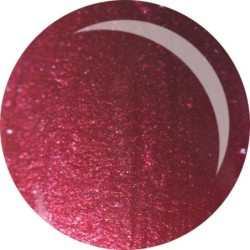 Gel colorat - 613 - 5ml | Pearl Nails