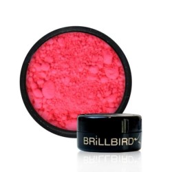 Pigment roz neon | BrillBird