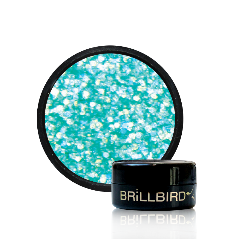 dual holo h05 | BrillBird