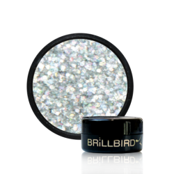 dual holo h06 | BrillBird