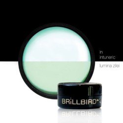 Pigment fosforescent 1- brillbird