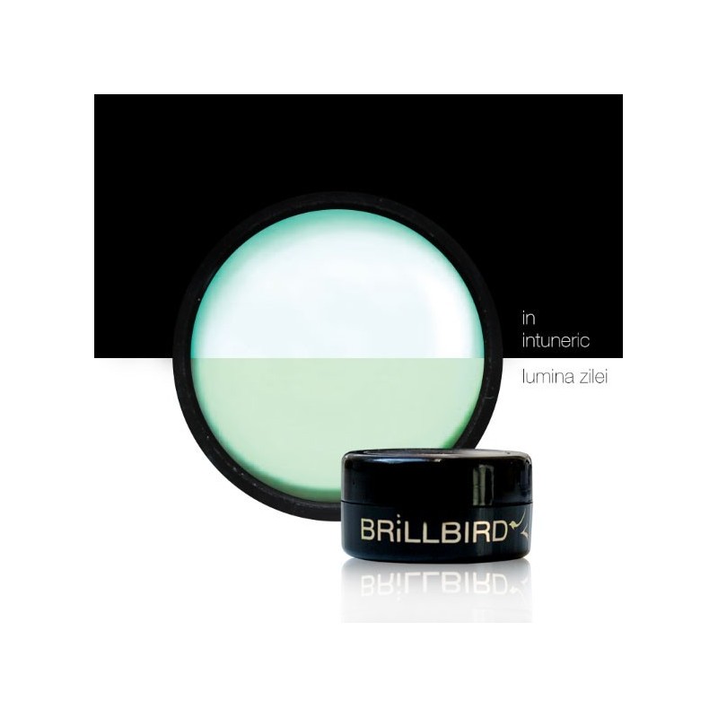 Pigment fosforescent 1- brillbird