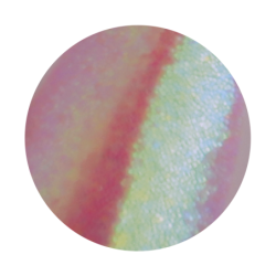 Praf magic 4- brillbird