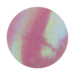 Praf magic 2- brillbird