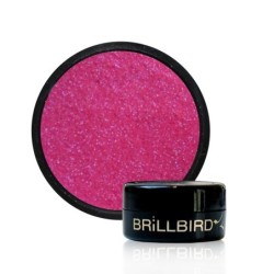 Praf magic 11- brillbird