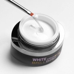 Builder White Gel 15 ml | BrillBird