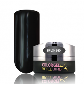 Brush & Go Color Gel Go2 - 4.5ml- BrillBird