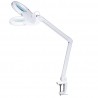 Pollie Lampa Cosmetica cu Lupa 8 Dioptrii - 03817