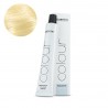 NEW - 11/03 - Vopsea De Par - Subrina Professional - Permanent High Lift - 100ml