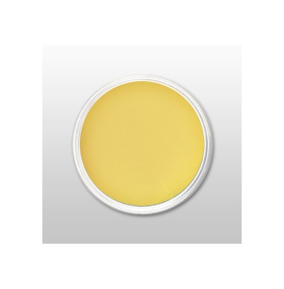 Moyra - Praf de portelan color -Lemon Yellow - Nr. 40 - 3,5 gr